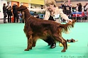 Crufts2011 449